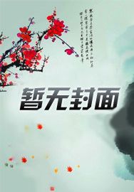 黑道风云12年